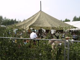Schützenfest 2007